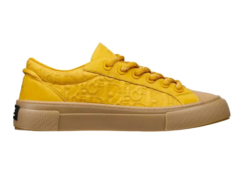 Dior x Stone Island B33 Sneaker