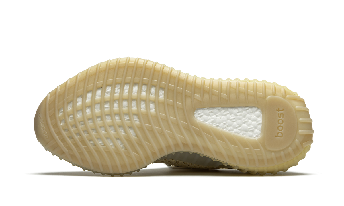 V2 Flax